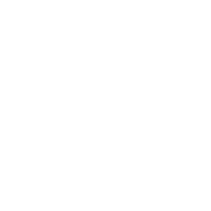 BIKE-LIFT PIN
